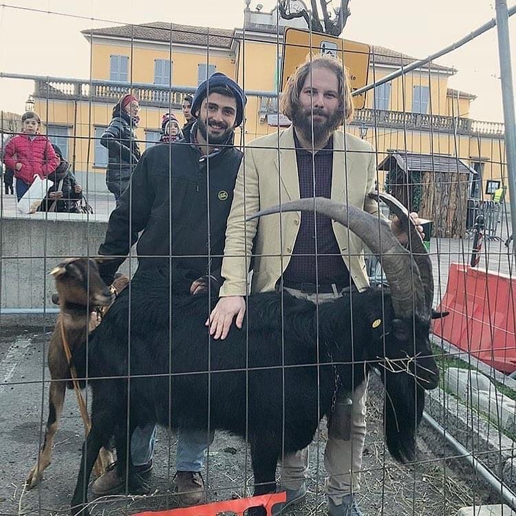 Santa Maria Hoè: annullata la benedizione degli animali per la festa di Sant’Antonio