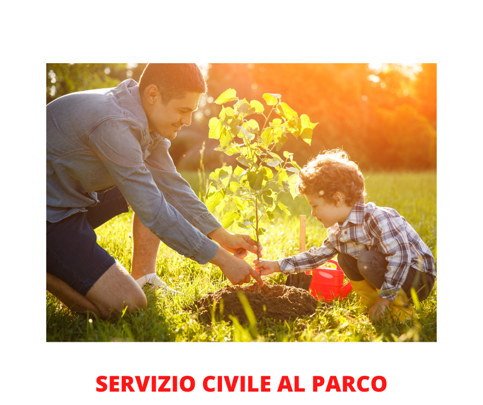 Parco del Curone: cercasi 4 giovani per il Servizio Civile