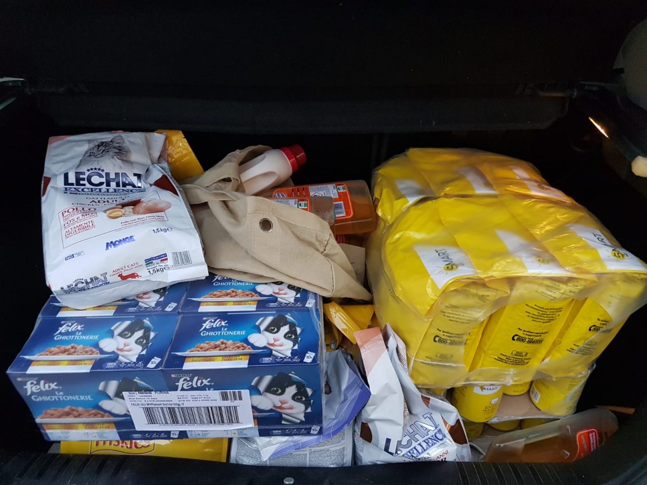 Una lotteria per raccogliere pappe e materiale per i piccoli amici dell’uomo FOTO