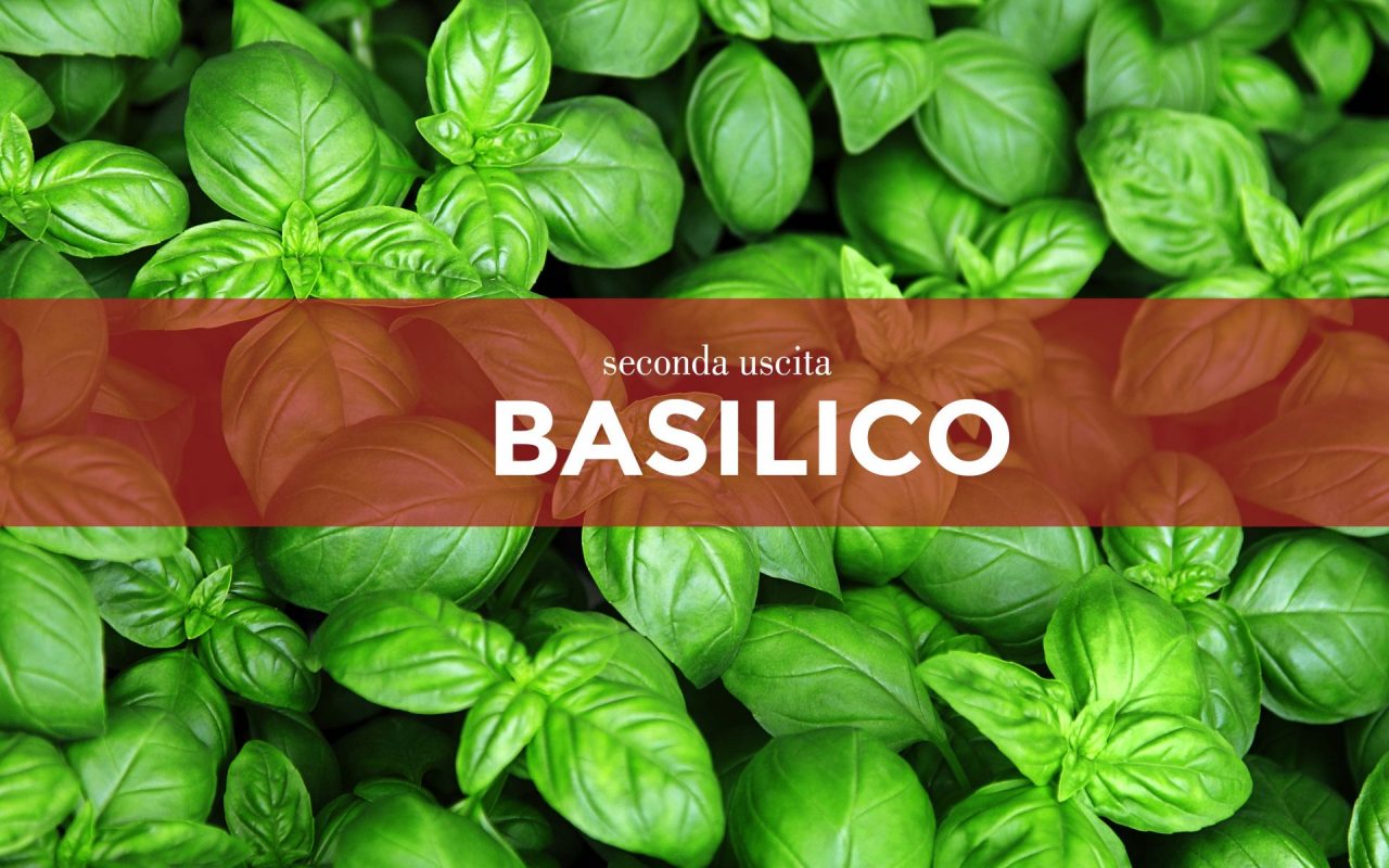 Tutti ortisti: da oggi in regalo con il Giornale di Merate i  semi di basilico