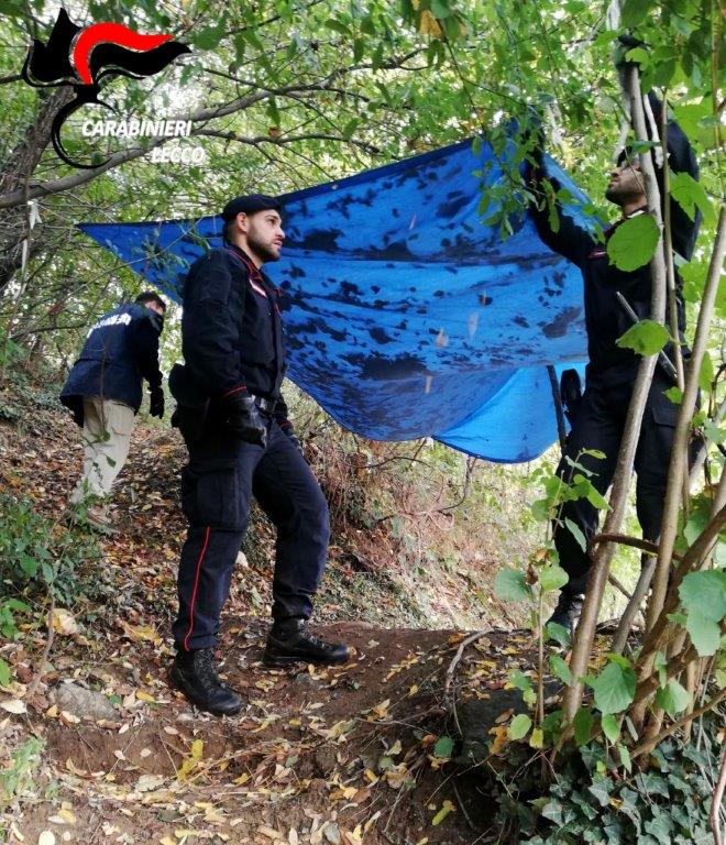 Spaccio: rivenute diverse sostanze stupefacenti in un bosco nel Lecchese