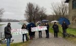 Sartirana: sit-in del Comitato Ambiente contro il taglio degli alberi