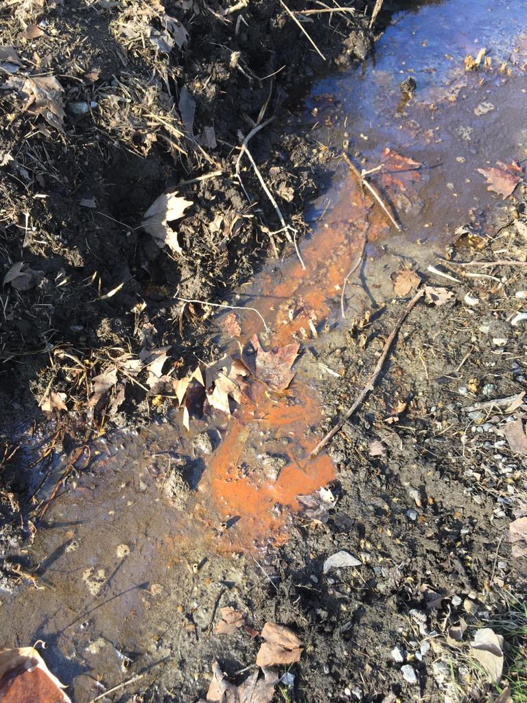 Sartirana: sversamenti di liquami nel lago. La denuncia del comitato