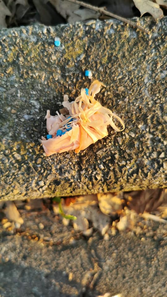 Trovate altre polpette avvelenate: l’incubo dei cani non si ferma