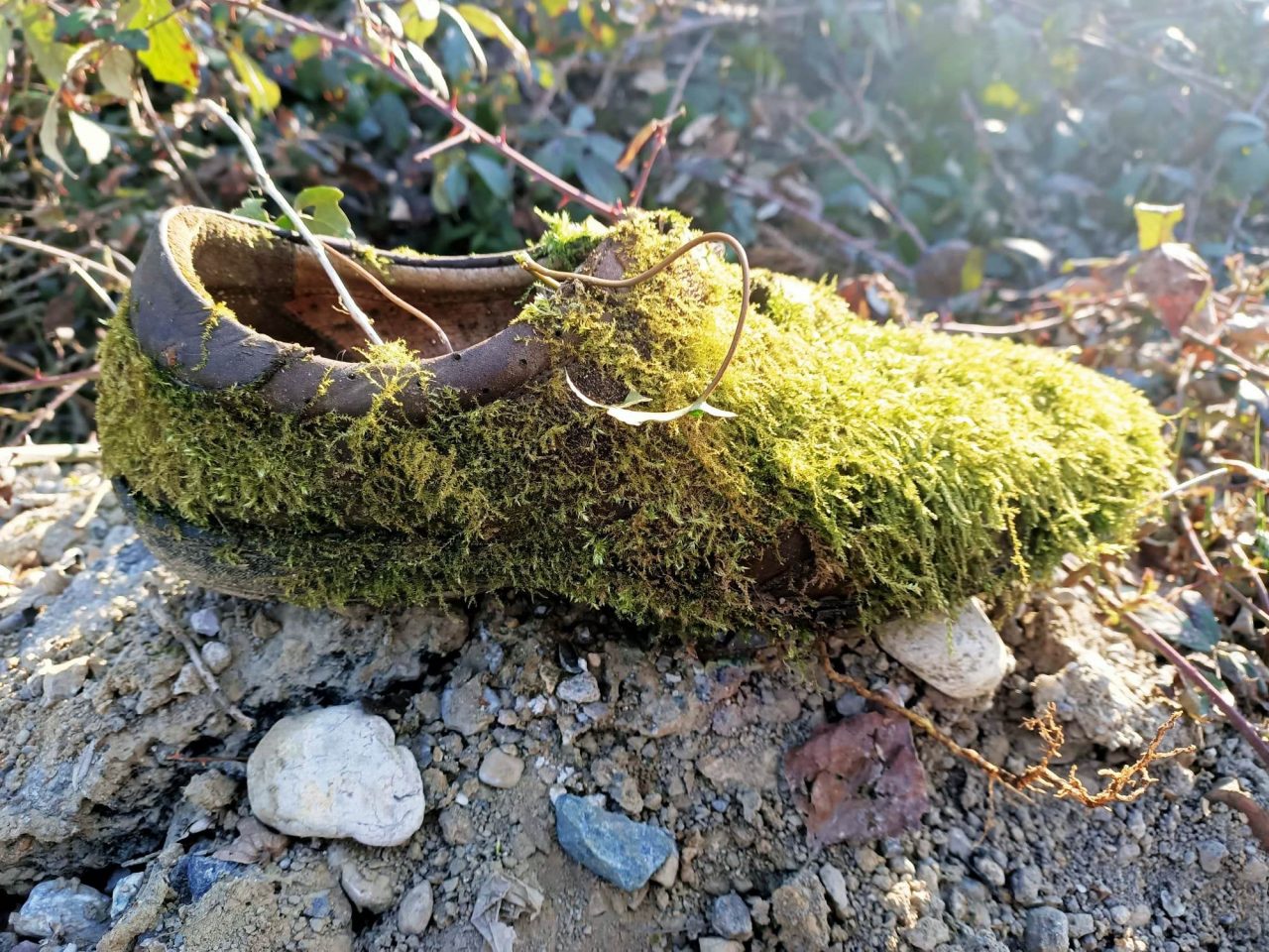L’uomo abbandona i rifiuti, la natura li trasforma in opere d’arte