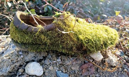 L'uomo abbandona i rifiuti, la natura li trasforma in opere d'arte