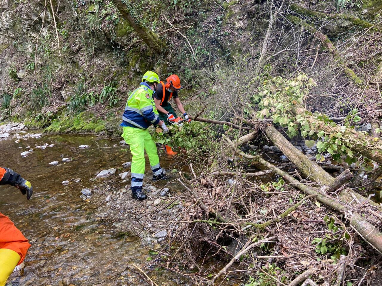 Protezione civile, i volontari rimuovono le piante cadute nel torrente Sonna FOTO