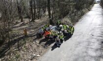 Green Boys, i lavori di pulizia nei comuni di Barzago e Garbagnate