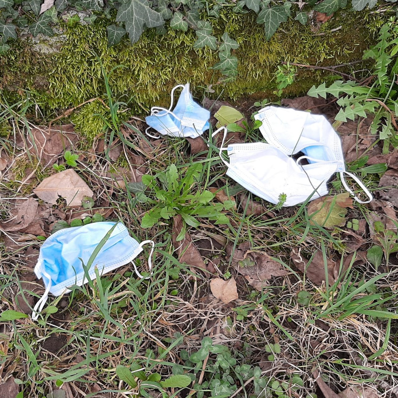Mascherine abbandonate a bordo strada: la segnalazione di una lettrice