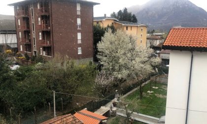 Risveglio particolare.... fiocchi di neve su Lecco il 19 marzo