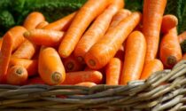 In regalo con il Giornale di Merate i semi di carota