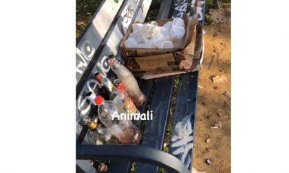 Festini sul Monte Robbio, bottiglie e bicchieri abbandonati