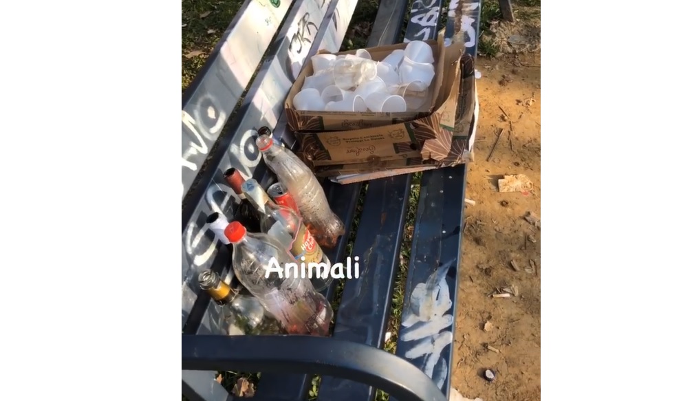 Festini sul Monte Robbio, bottiglie e bicchieri abbandonati