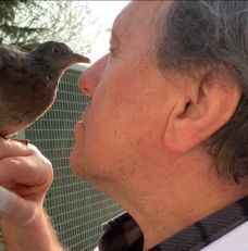 L’incredibile legame tra un noto macellaio e il suo amico pennuto