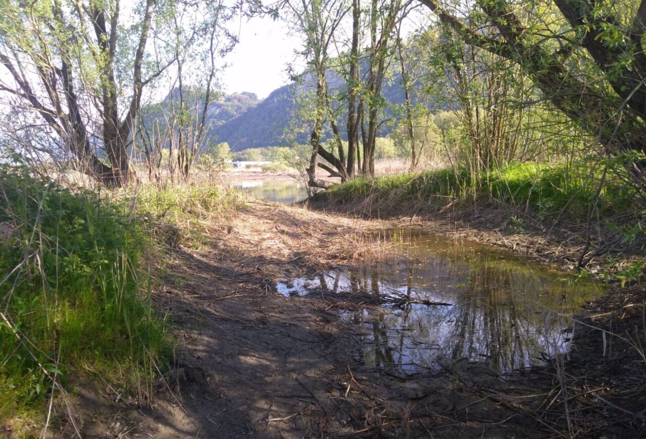 Adda in secca: anticipati i lavori alle “Stoppate di Brivio”