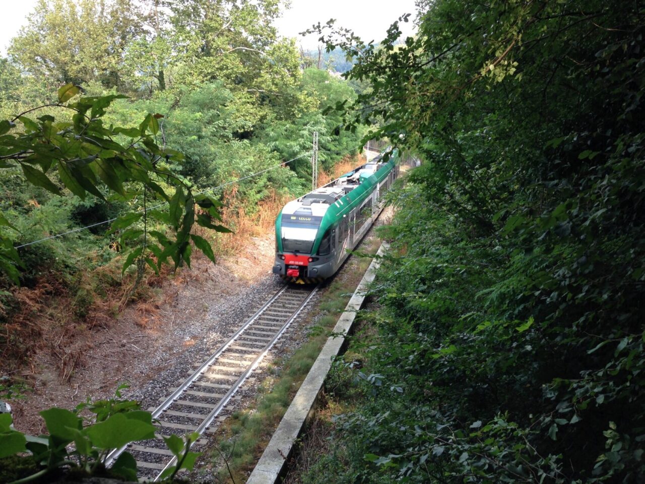 Finanziato il progetto di elettrificazione del Besanino