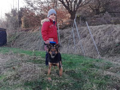 L’ultimo dono di Gioele: i genitori hanno acconsentito all’espianto degli organi