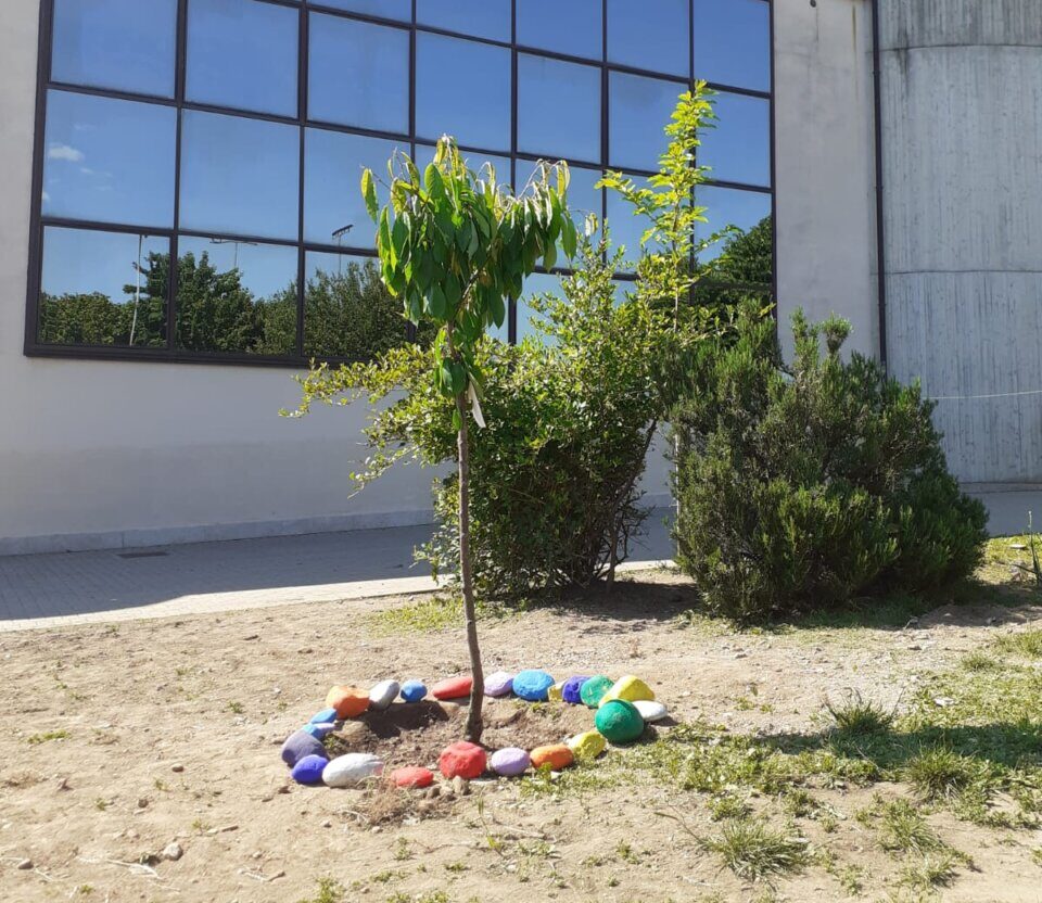 Cernusco: un ciliegio per ricordare il piccolo Gioele