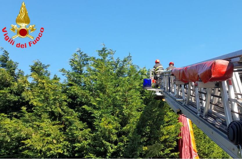 Brutto atterraggio: rimane incastrato con il parapendio negli alberi