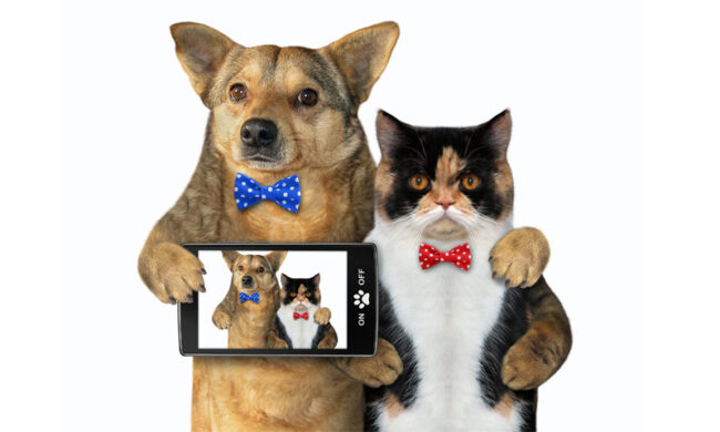 Da oggi in regalo con il Giornale di Merate l’album di disegni sugli animali