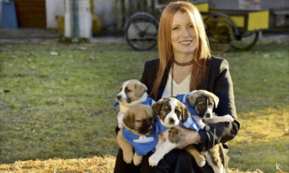 Cavalli salvavita e le nostre Simpatiche Zampette su “Dalla parte degli animali”