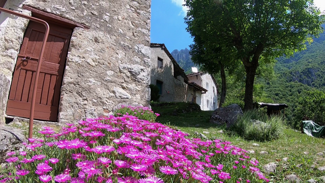 Baite filosofiche: dialogo per il futuro del pianeta
