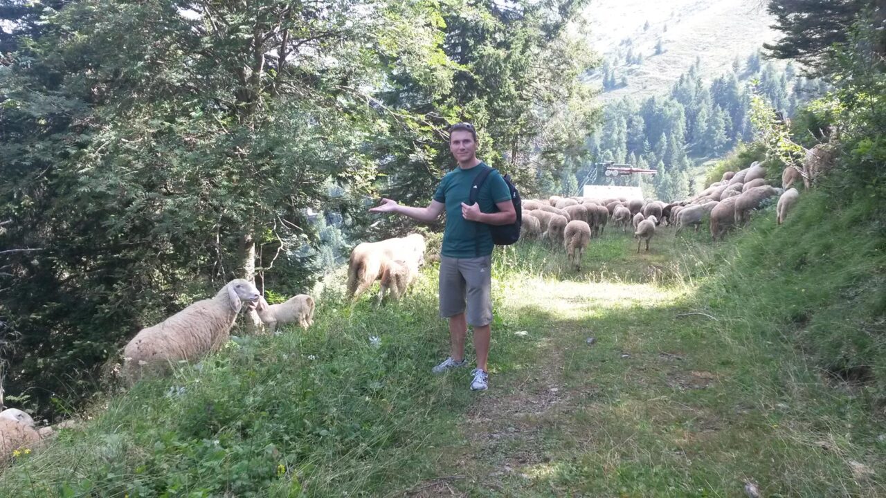 Sacerdote lecchese cade in un burrone: è gravissimo