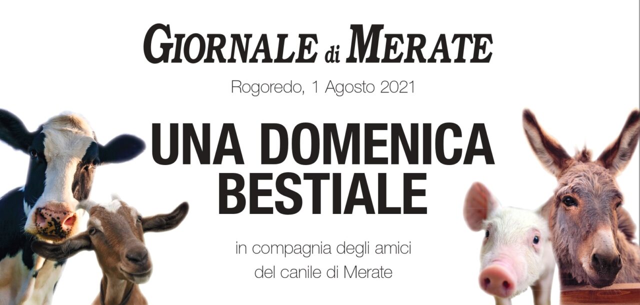 Il Giornale di Merate alla Fiera di Rogoredo: gadget in omaggio, abbonamenti scontati e un buono da 50 euro
