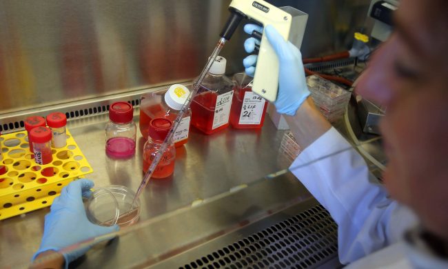 Regione: “Vaccini efficaci su tutte le varianti”. L’87% dei contagiati non è vaccinato