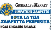 Simpatiche Zampette, sul Giornale di Merate il nuovo coupon per votare gli amici a quattro zampe