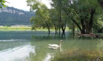 Airuno, effetto temporali: il fiume Adda ricopre completamente la "spiaggetta"