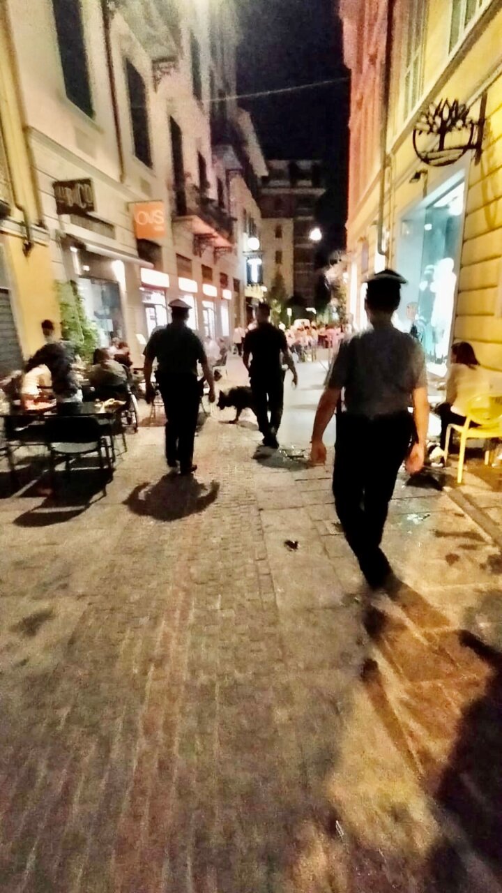 Carabinieri: i cinofili di Casatenovo intensificano i controlli nel Varesotto
