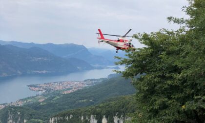 Cane ferito ai Resinelli, salvato dall’elisoccorso