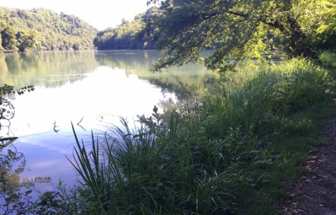 Riserva Sartirana, Comitato Civico Ambiente: “Ecco il costo dell’incompetenza”