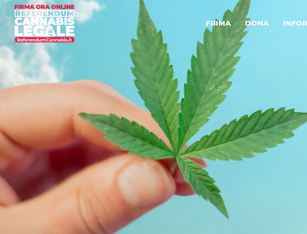 Referendum cannabis legale, anche nel Lecchese comuni inadempienti