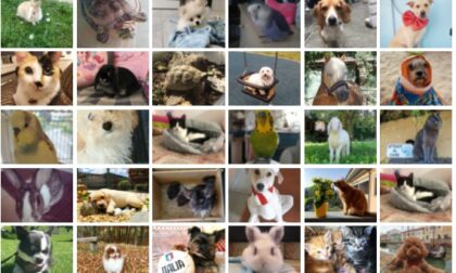 Simpatiche Zampette, dal 19 settembre coupon speciale: vale 5 punti!