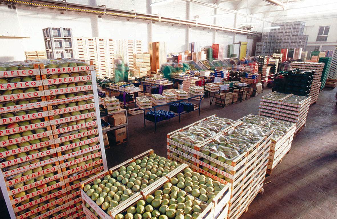 Spreafico di Dolzago: “La società non è commissariata, l’inchiesta per caporalato è a carico delle Coop”