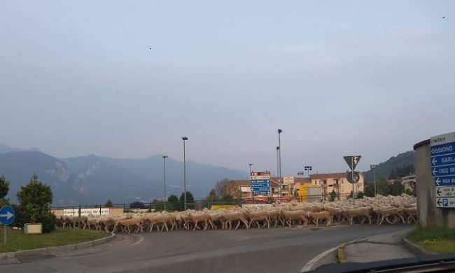 Conclusa la discesa dagli alpeggi,  con ottobre si completa la transumanza, rito antico e suggestivo