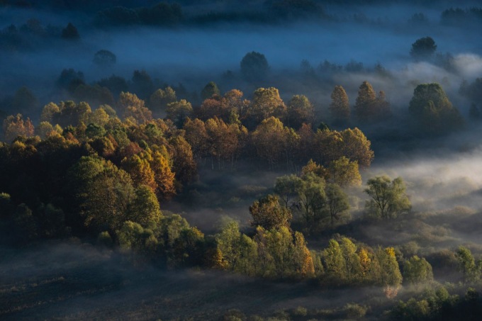 Concorso fotografico: il tema è l’inverno in palude