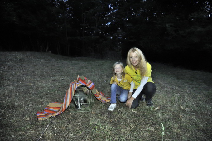 Investito e ferito: il tasso Bobby ora è salvo ed è tornato in libertà