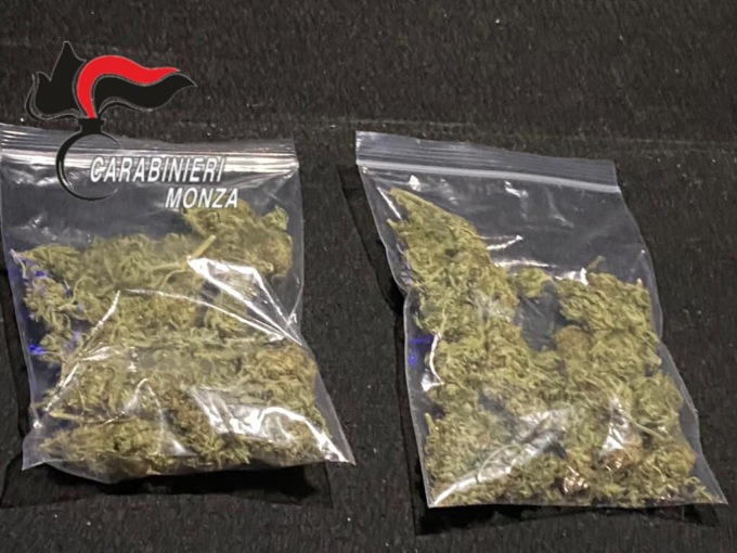 Grazie a Ocsi, il pastore tedesco antidroga dell’Arma, scovati marijuana, hashish e cocaina