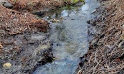 Pulizia del fosso Calendone, si cercano volontari