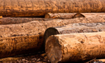 Rincari delle materie prime e legname da costruzione: è allarme