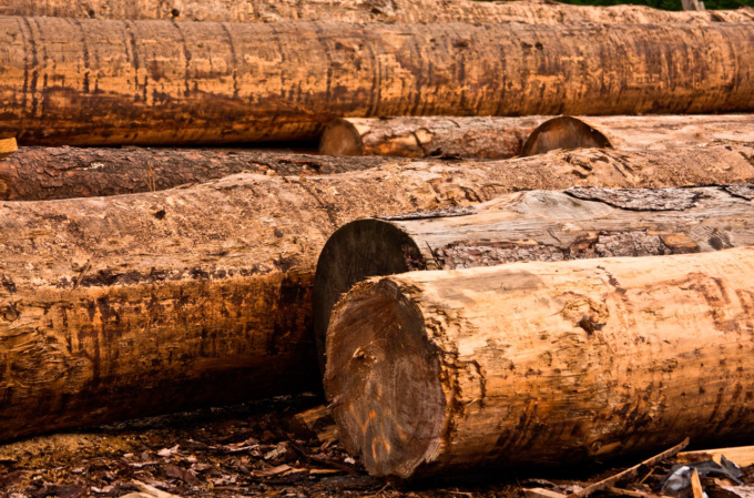 Rincari delle materie prime e legname da costruzione: è allarme