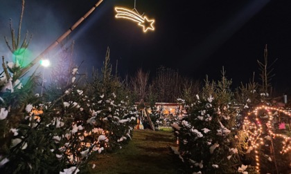 A Casatenovo è ancora Natale: visitate il presepe alla Colombina