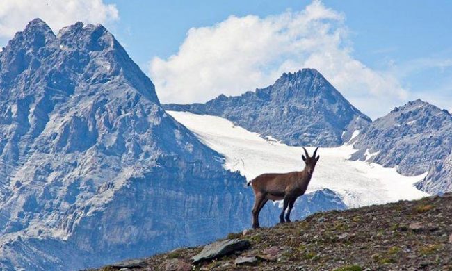 Con “Il Provinciale” un viaggio in Tv per far conoscere la Valtellina