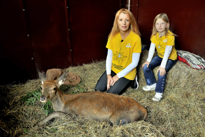 Al Cras Stella del Nord parte il corso per volontari