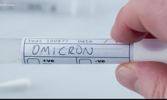 Variante Omicron e calo delle donazioni: l’appello dell’Avis