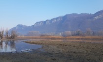 Allarme siccità in Lombardia, l'attenzione resta alta