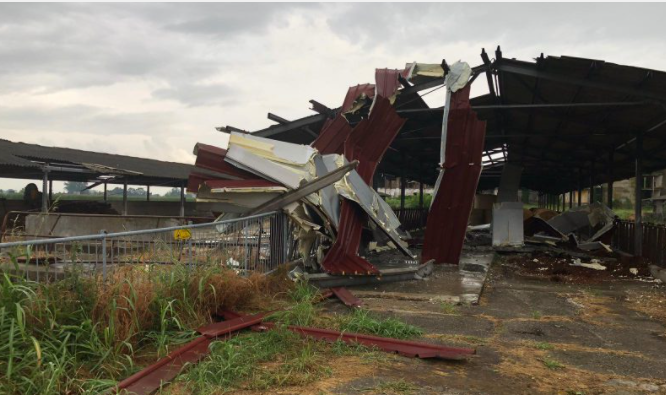 Vento forte e incendi: 10 bufere in Lombardia da inizio anno, e oggi ancora raffiche  su Lecco